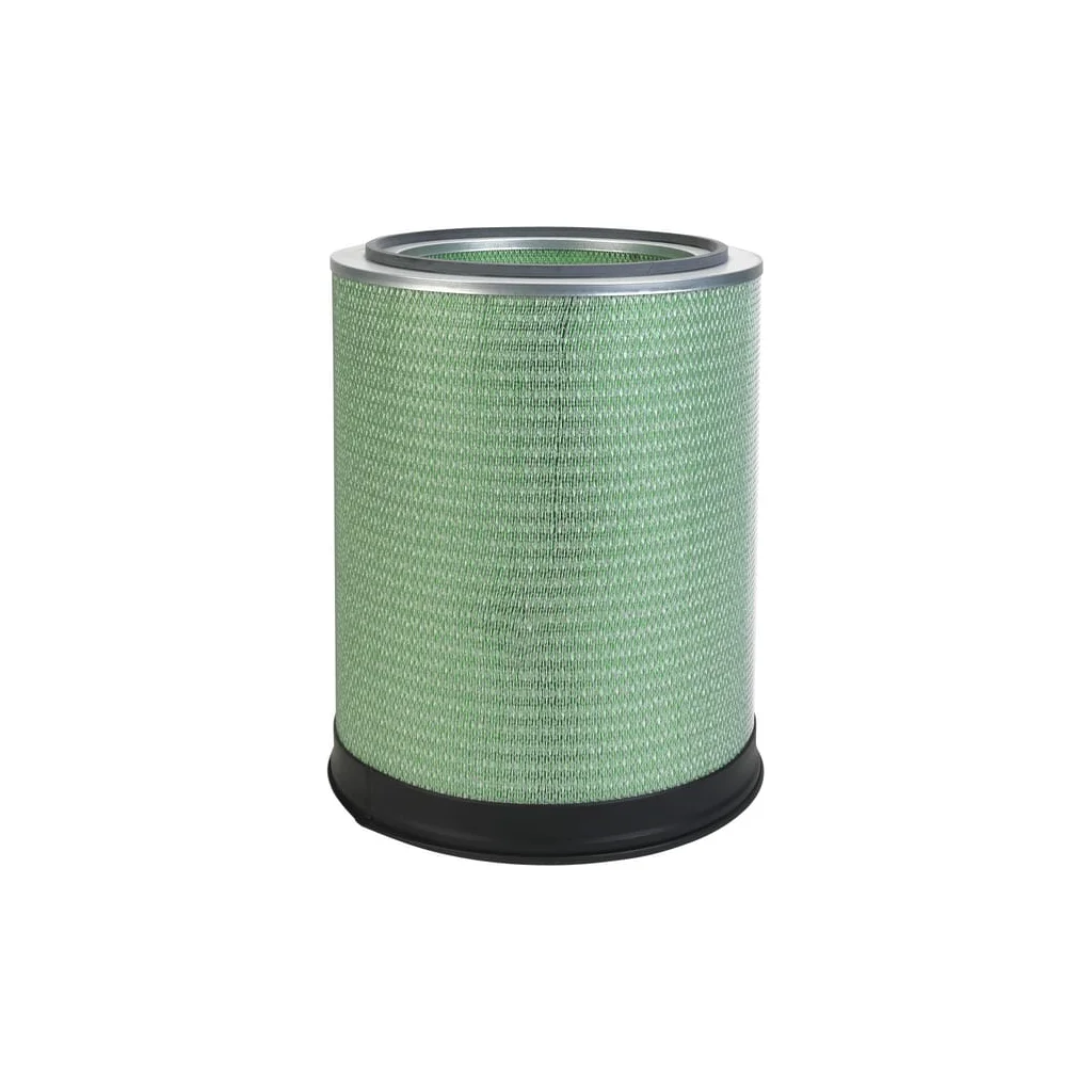 Filtru aer principal P789495