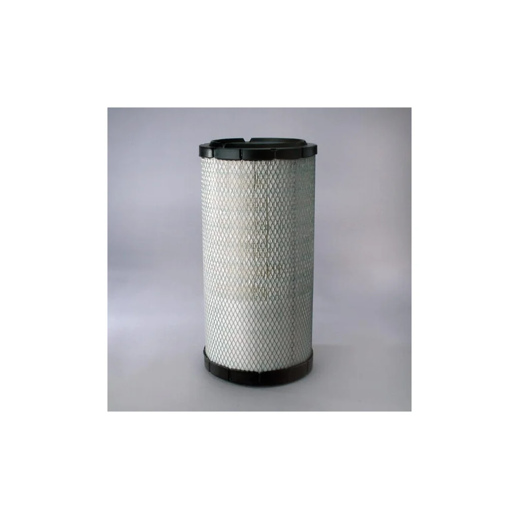 Filtru aer exterior P783870