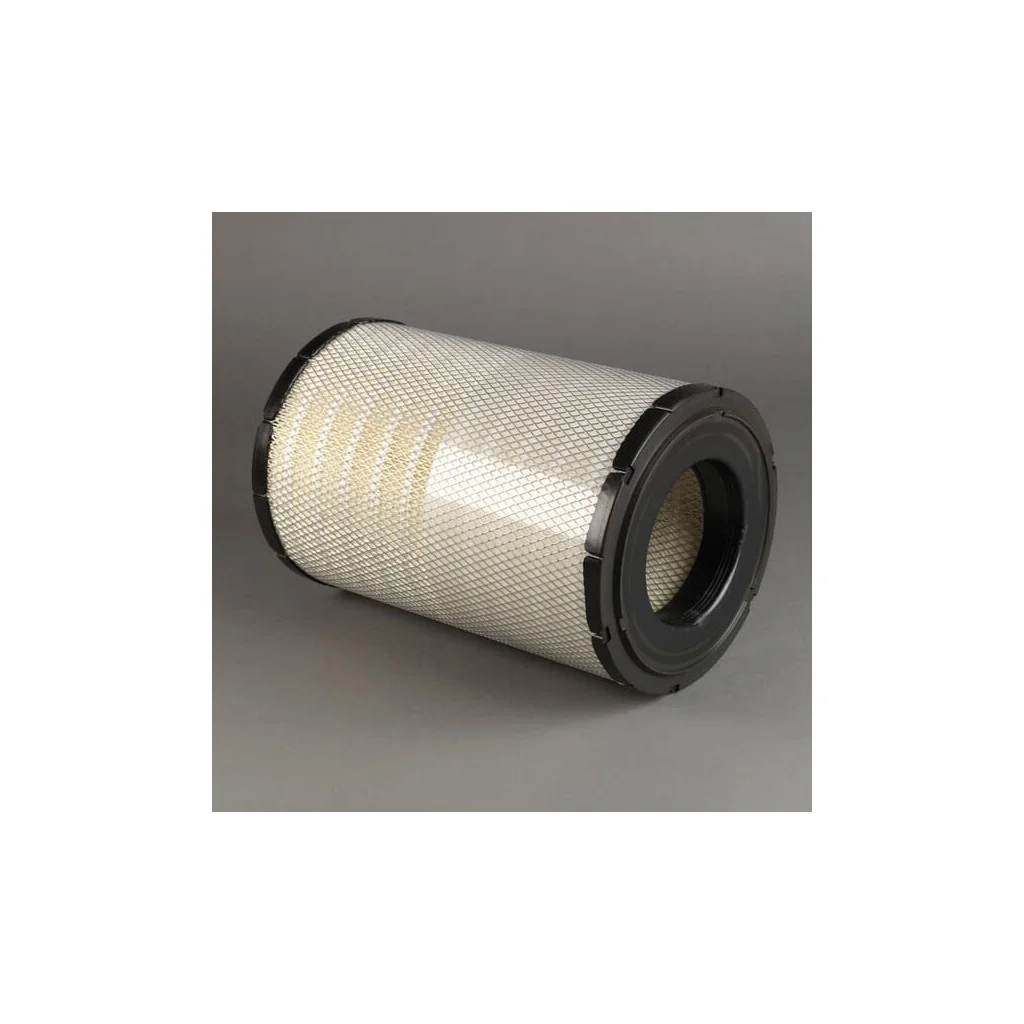 Filtru aer exterior P784813