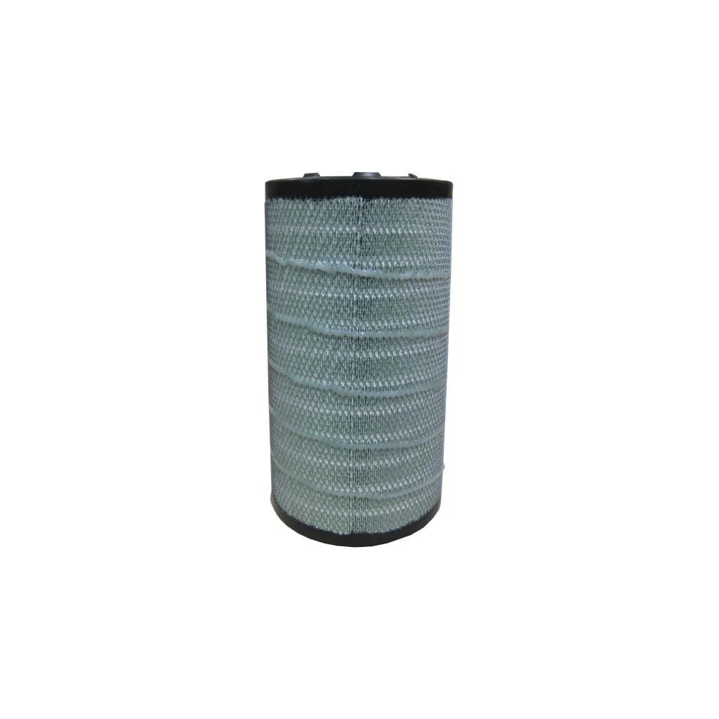 Filtru aer exterior P786443
