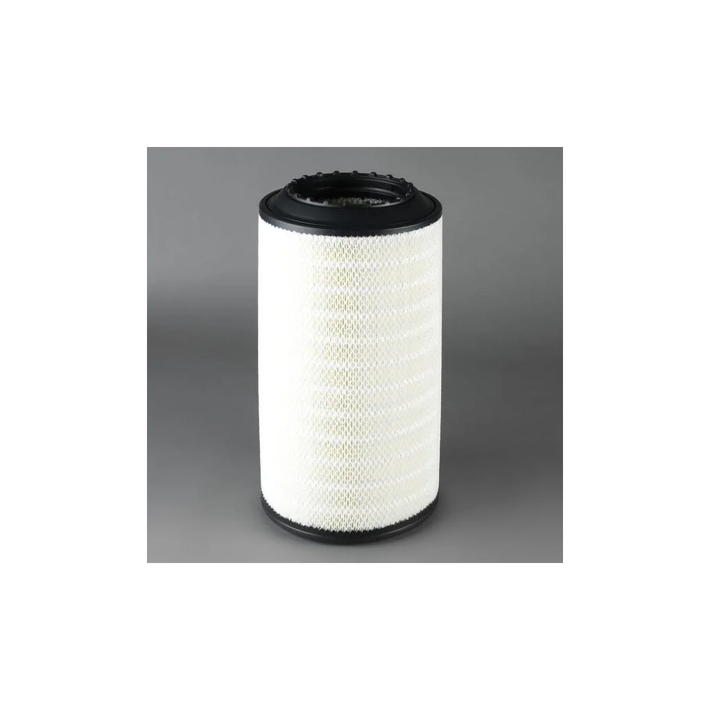 Filtru aer exterior P784456
