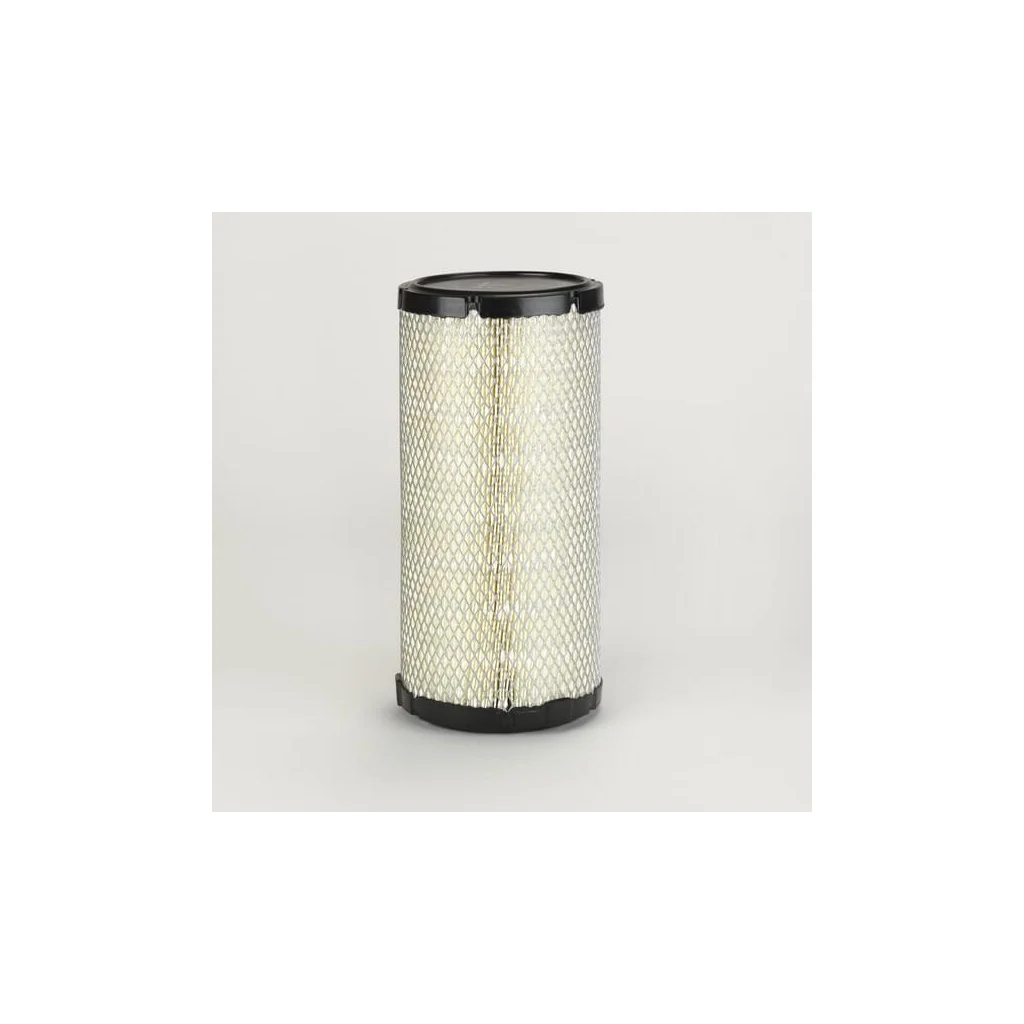 Filtru aer exterior P778509
