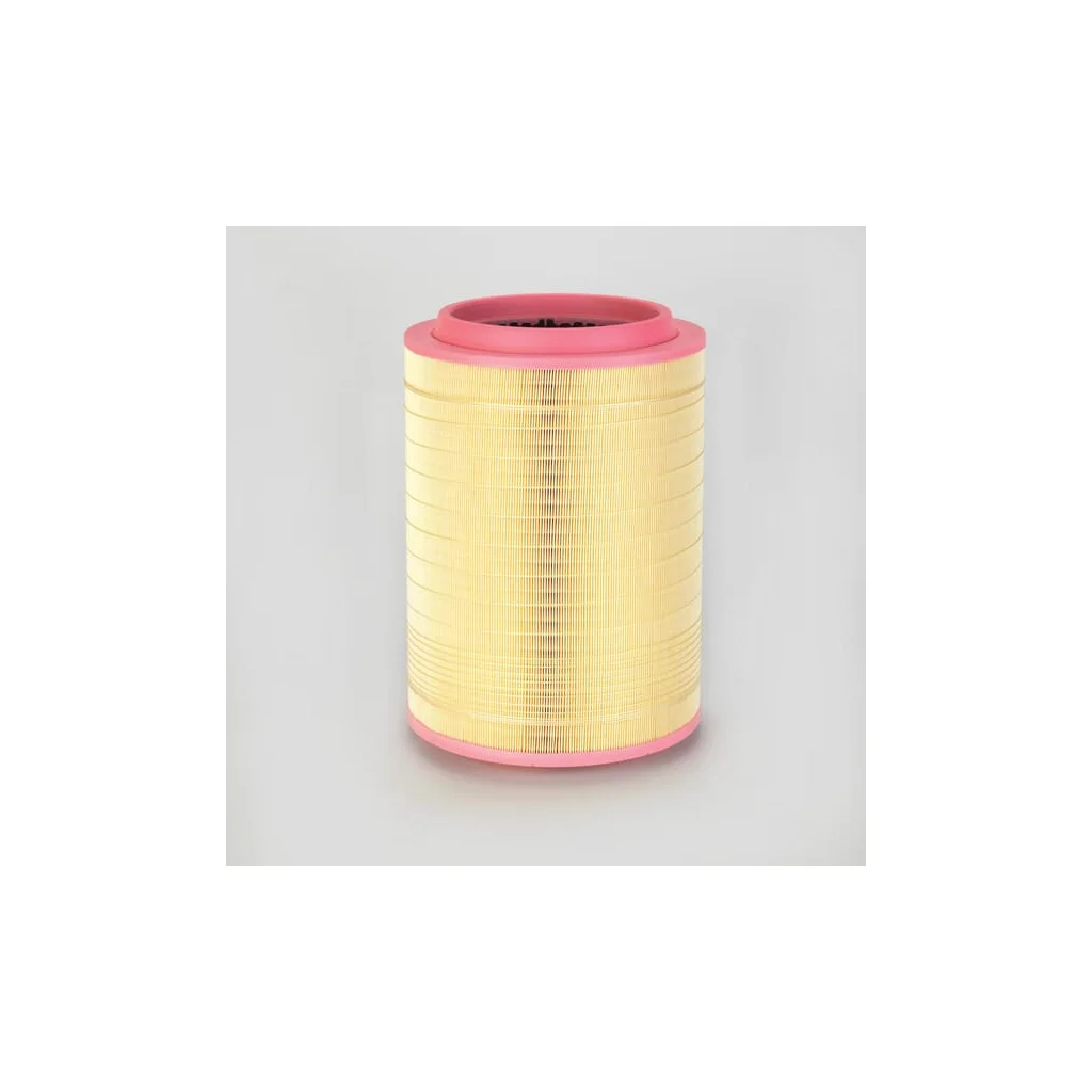 Filtru aer exterior P785352