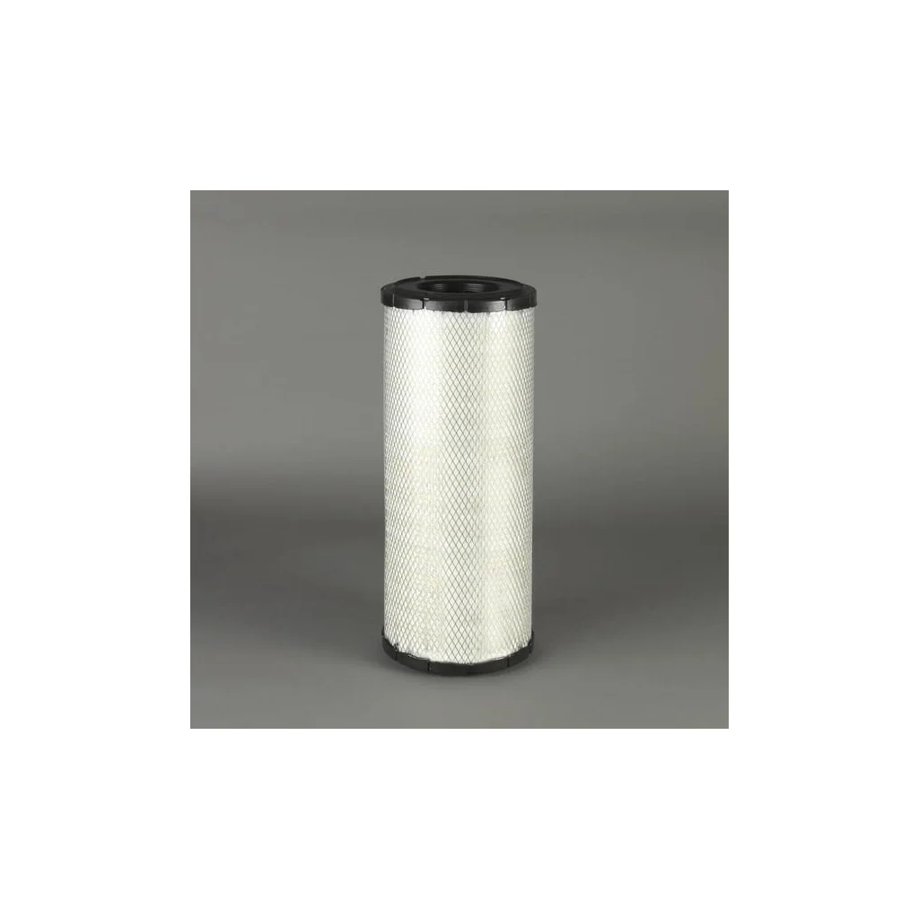 Filtru de aer P777592GJ