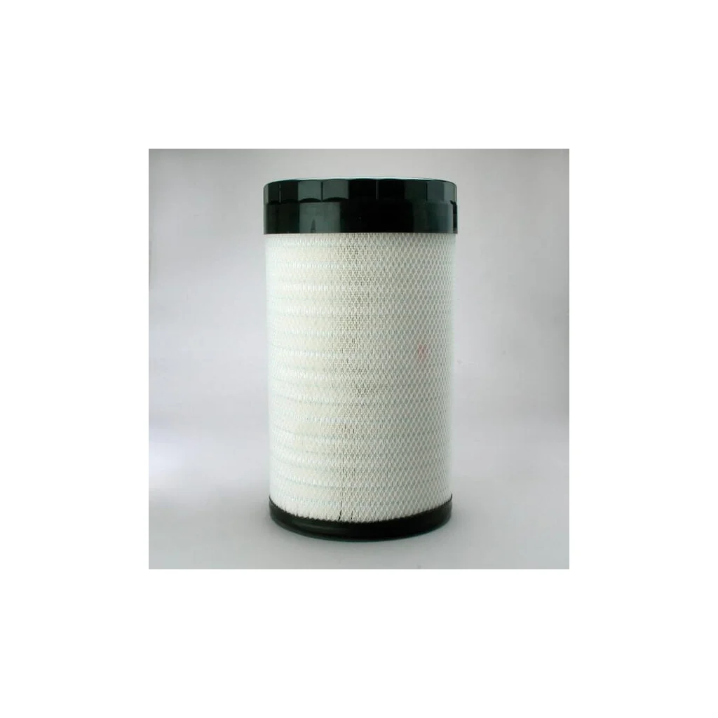 Filtru aer exterior P785394