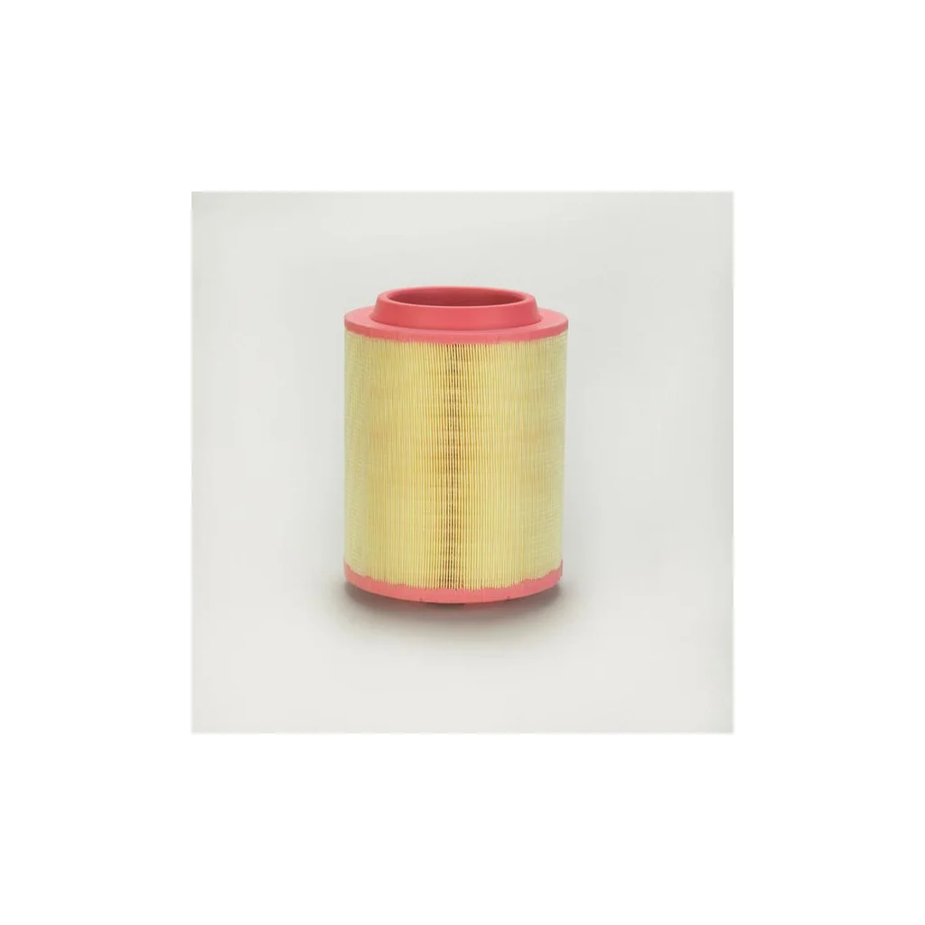 Filtru aer exterior P782881