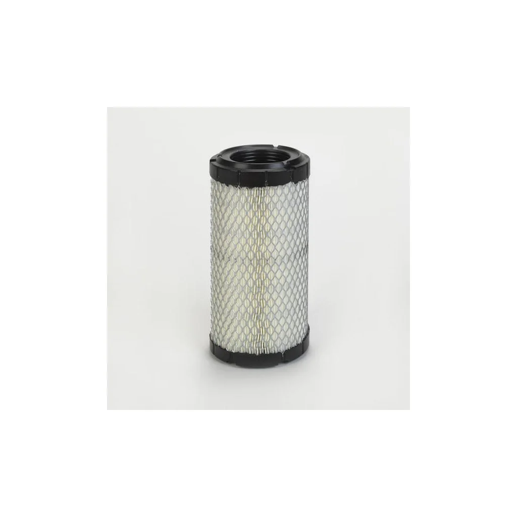 Filtru aer exterior P782868