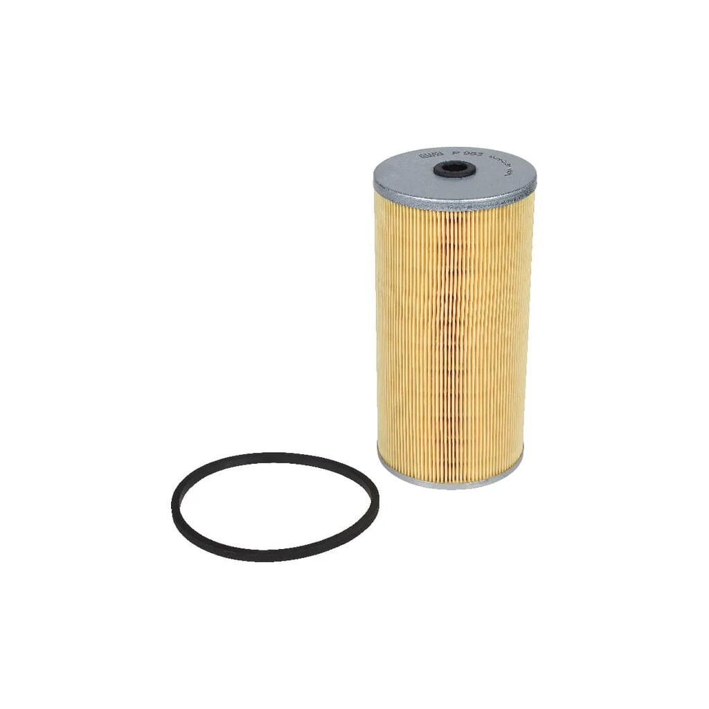 Element filtrant combustibil P982X
