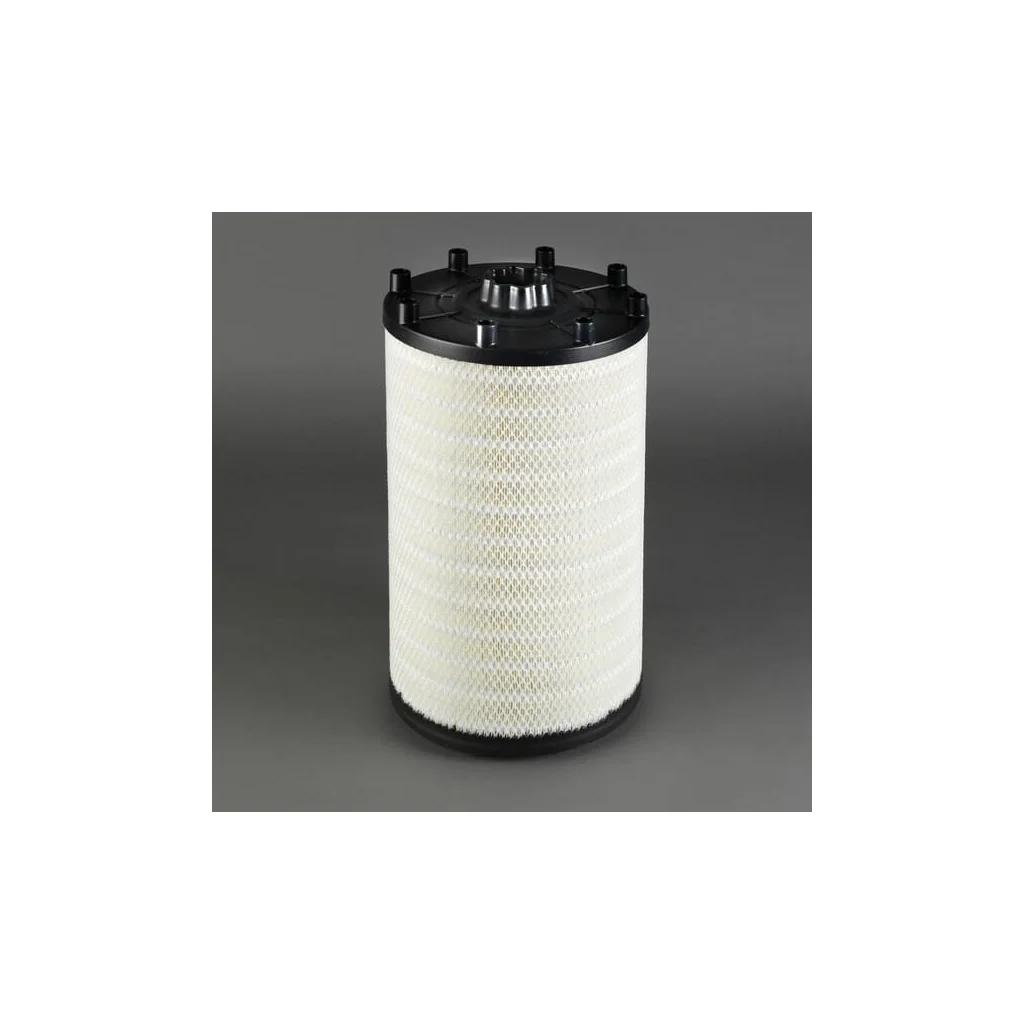 Filtru aer exterior P953210