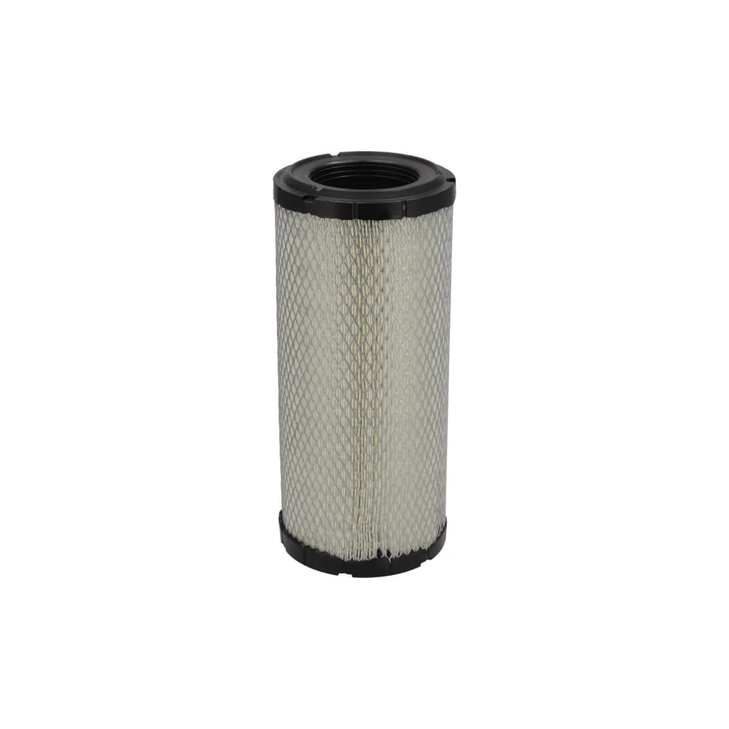 Filtru aer exterior P956989