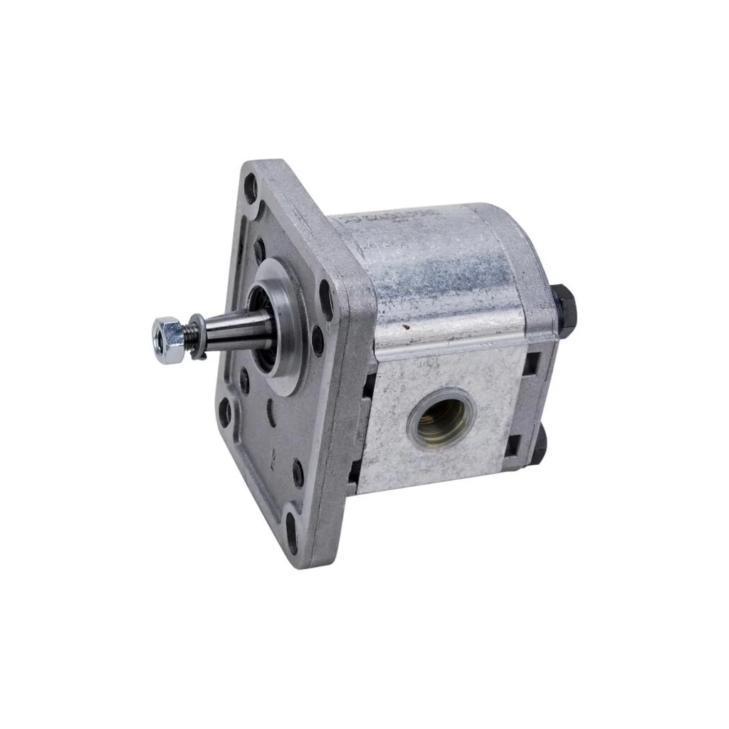 Pompă cu roți dințate Polaris 10 PLP103D081E1G