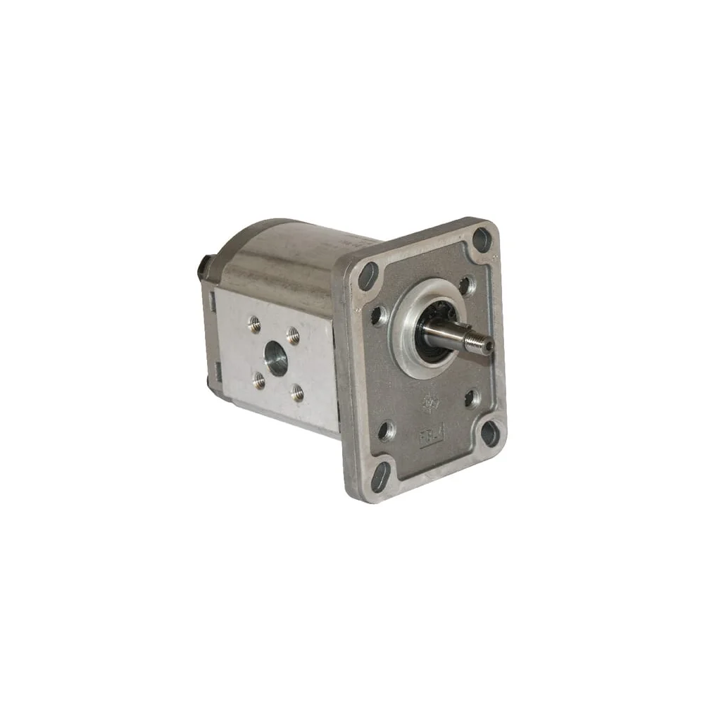 Pompă cu roți dințate Polaris 10 PLP108D081E1