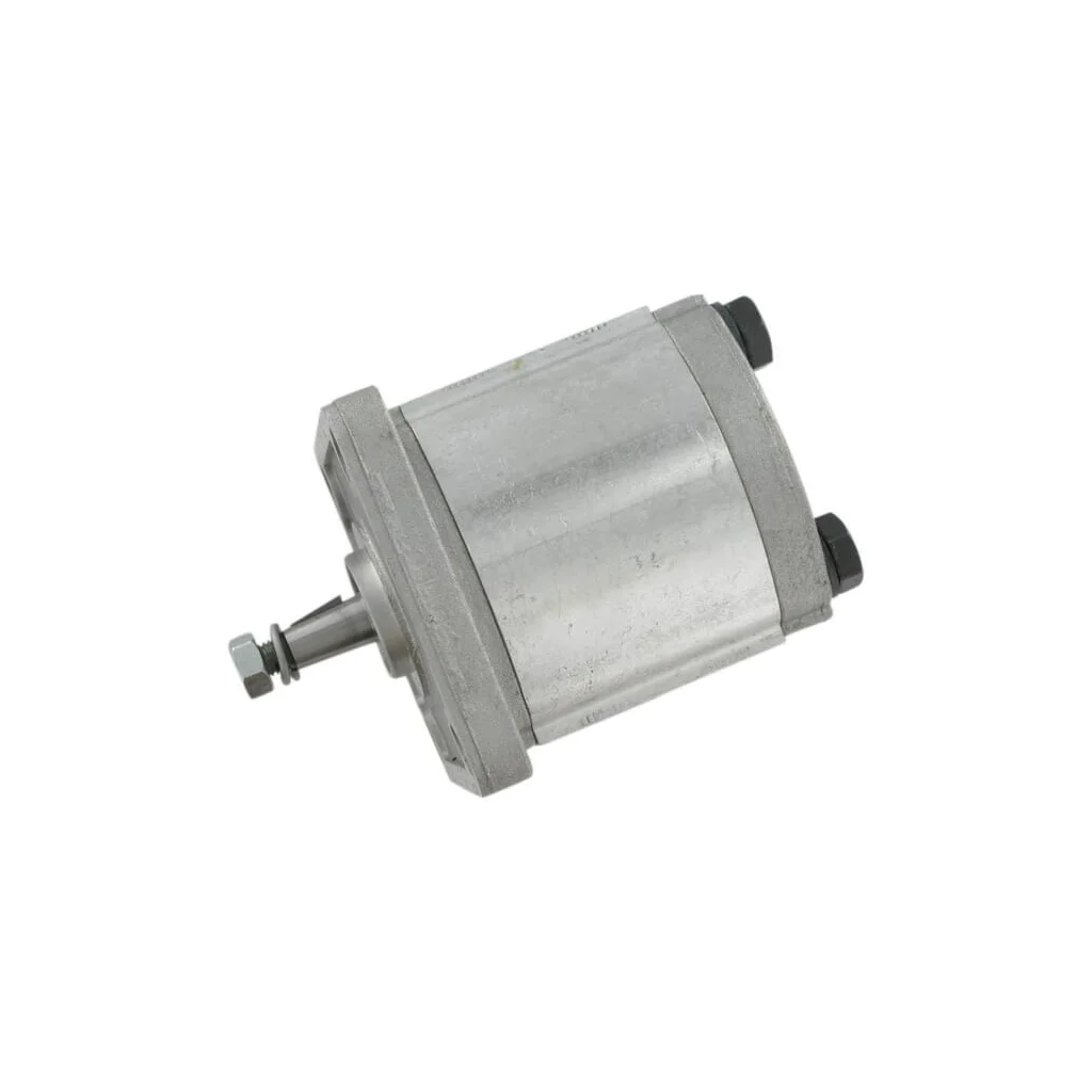 Pompă cu roți dințate Polaris 10 PLP105D081E1G