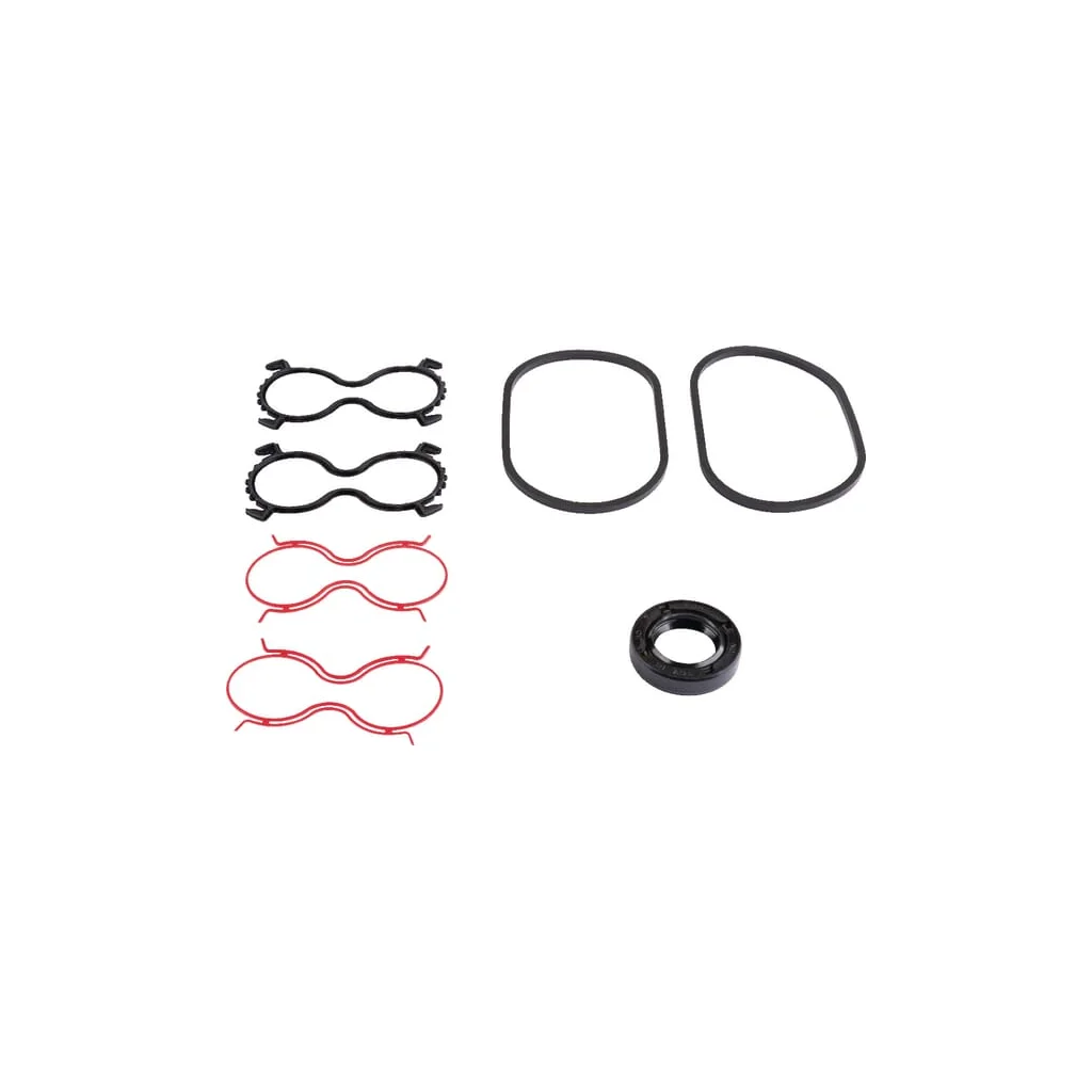 Set de garnituri Polaris 20 PLM920AFD