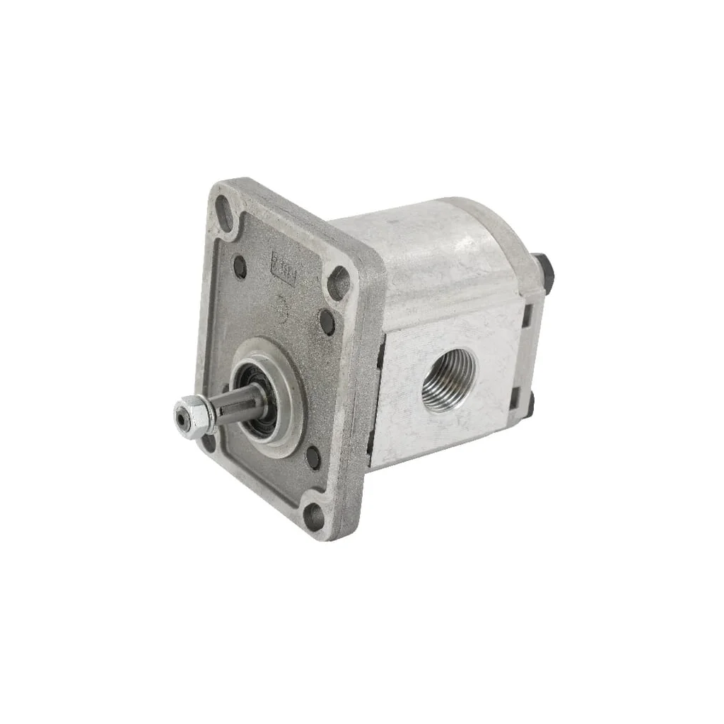 Pompă cu roți dințate PLP10.6-S0-81-E1LGD/GD-N-EL PLP106S081EIGD