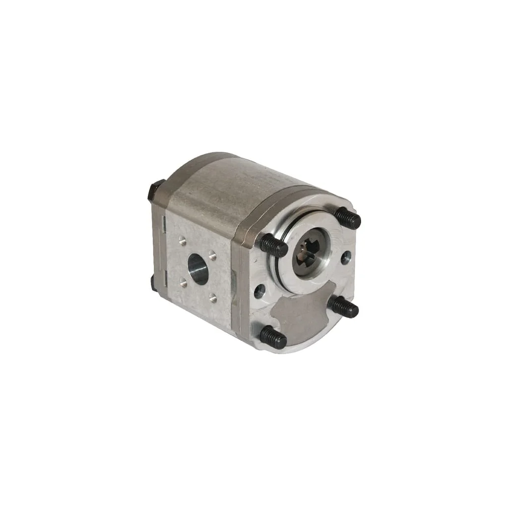 Pompă cu roți dințate Polaris 20 PLP208D095B6