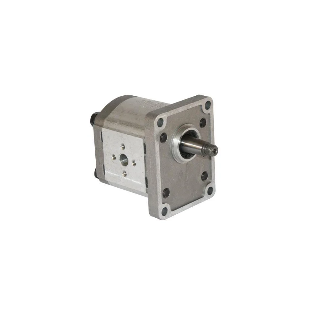 Pompă cu roți dințate Polaris 20 PLP208D082E2