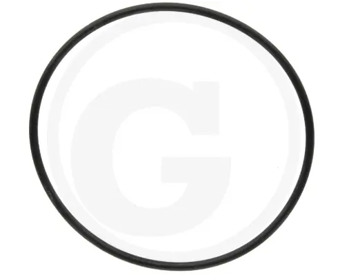 O-ring