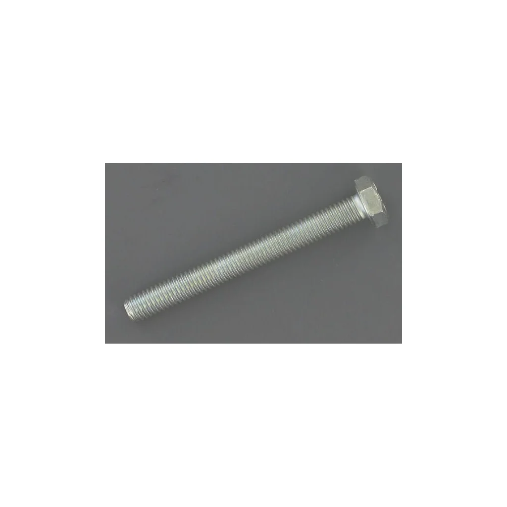 Șurub hexagonal 6x55 ET20686