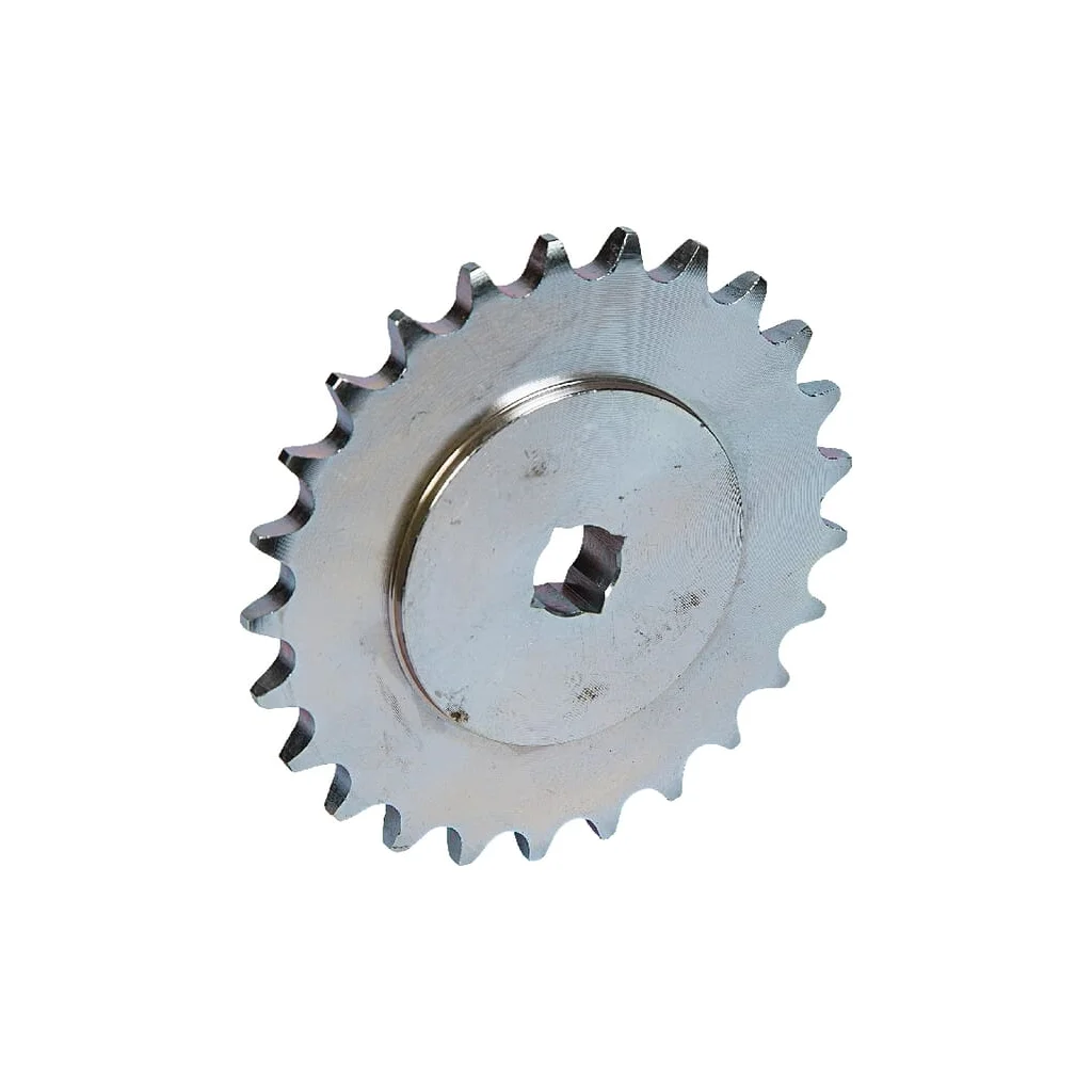 Pinion 25 dinți G16630420R