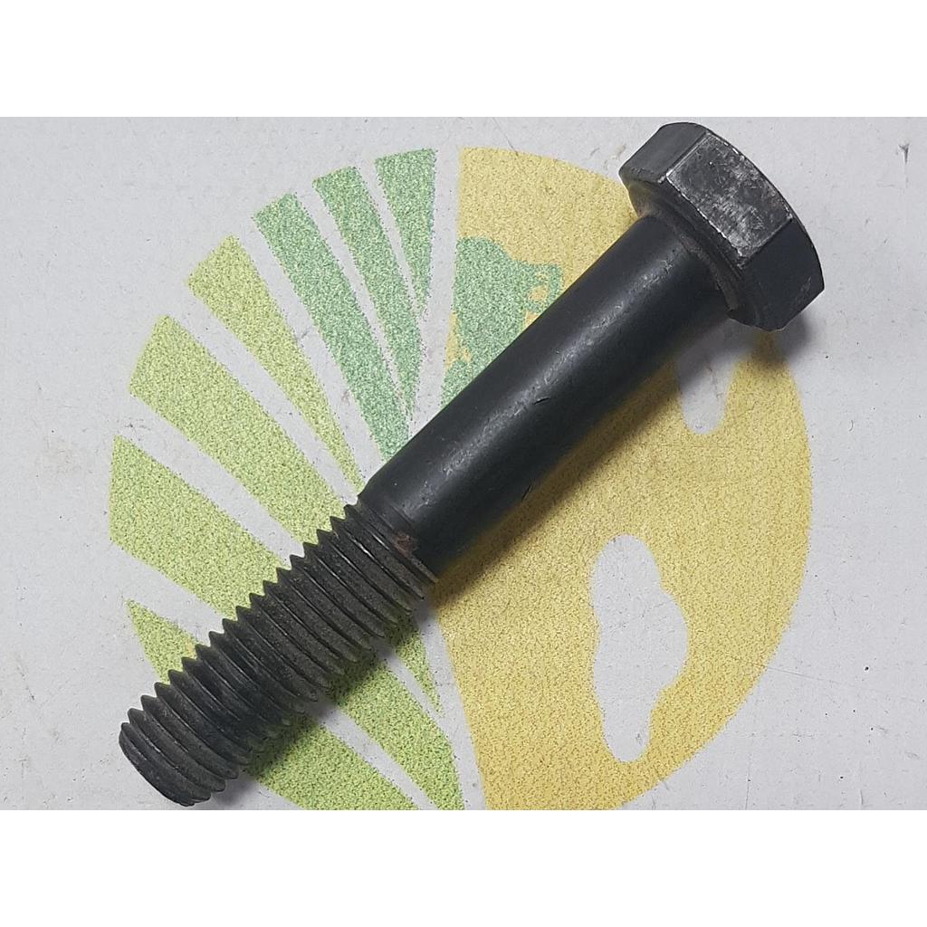 Surub 12x80