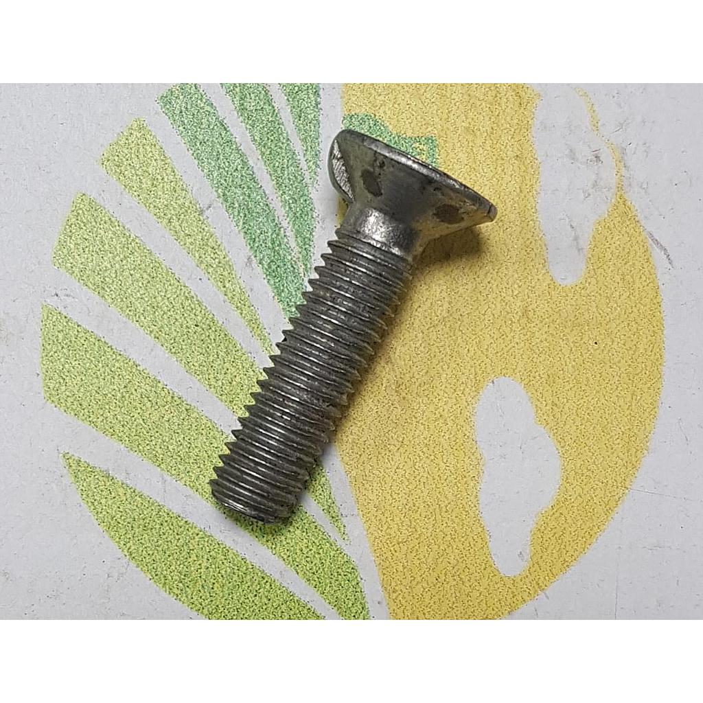 Surub 10x40