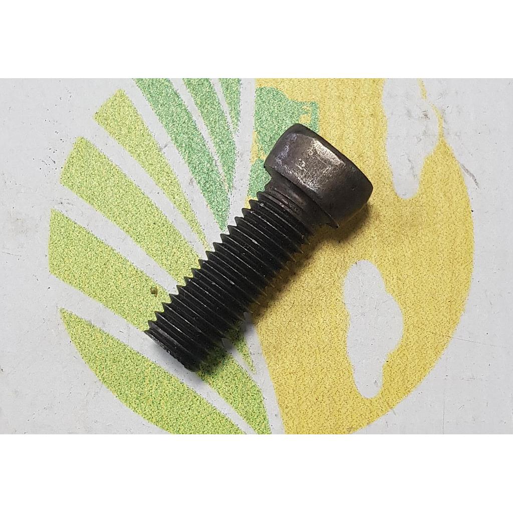 Surub 12x40