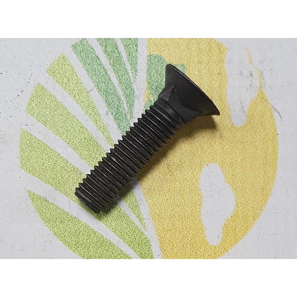 Surub 10x40