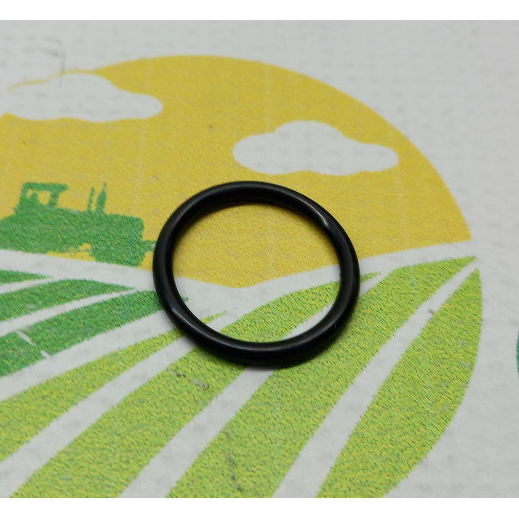 O-ring Etansare