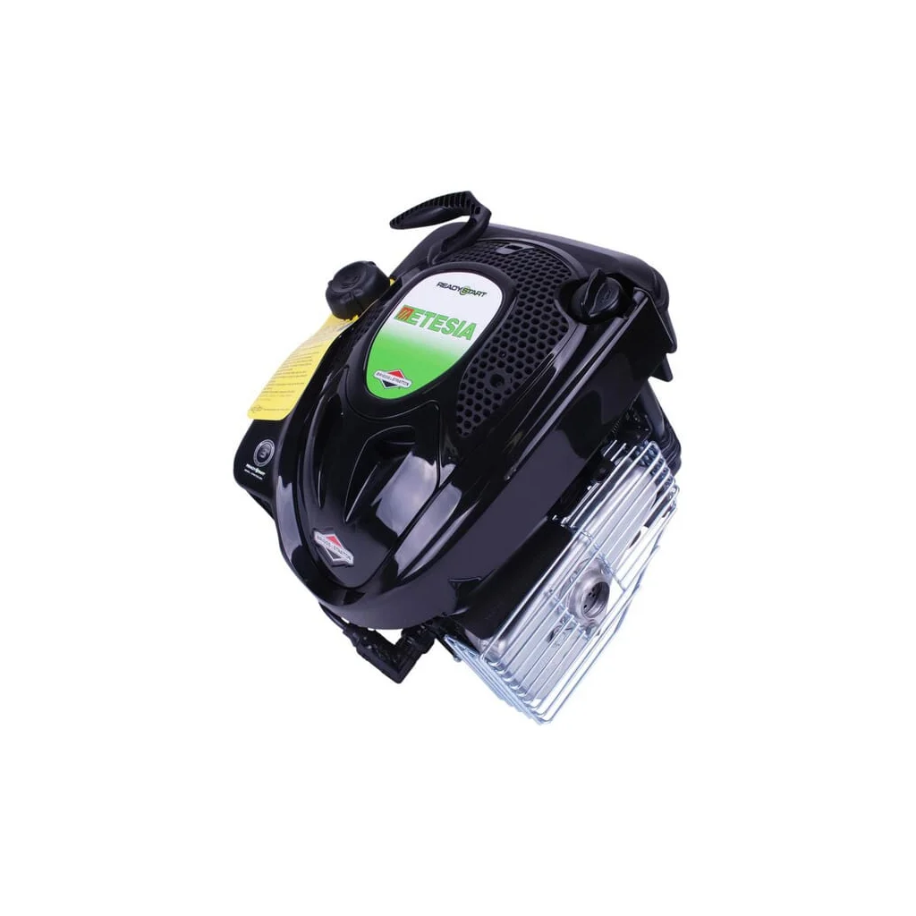 Motor, vertical, Vanguard, Etesia Briggs &amp, Stratton ET37374