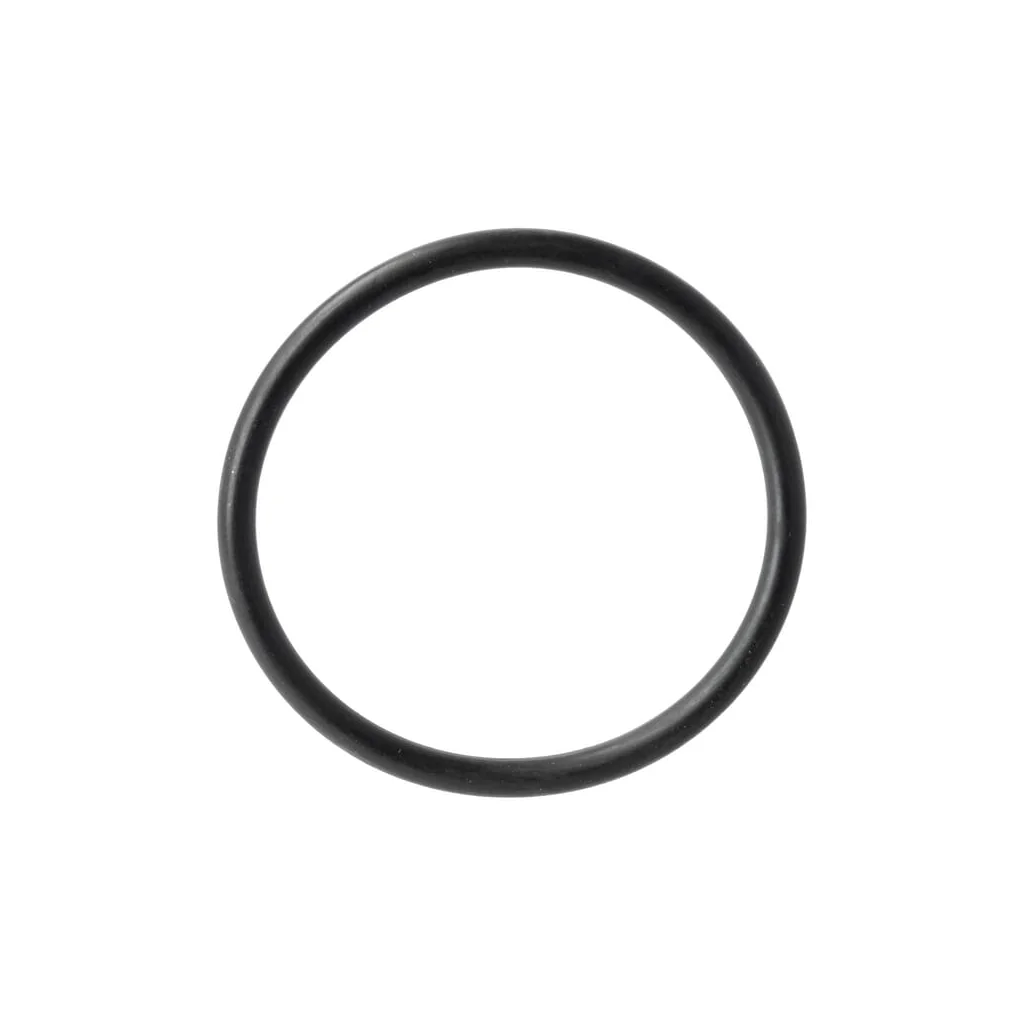 O-ring R31378