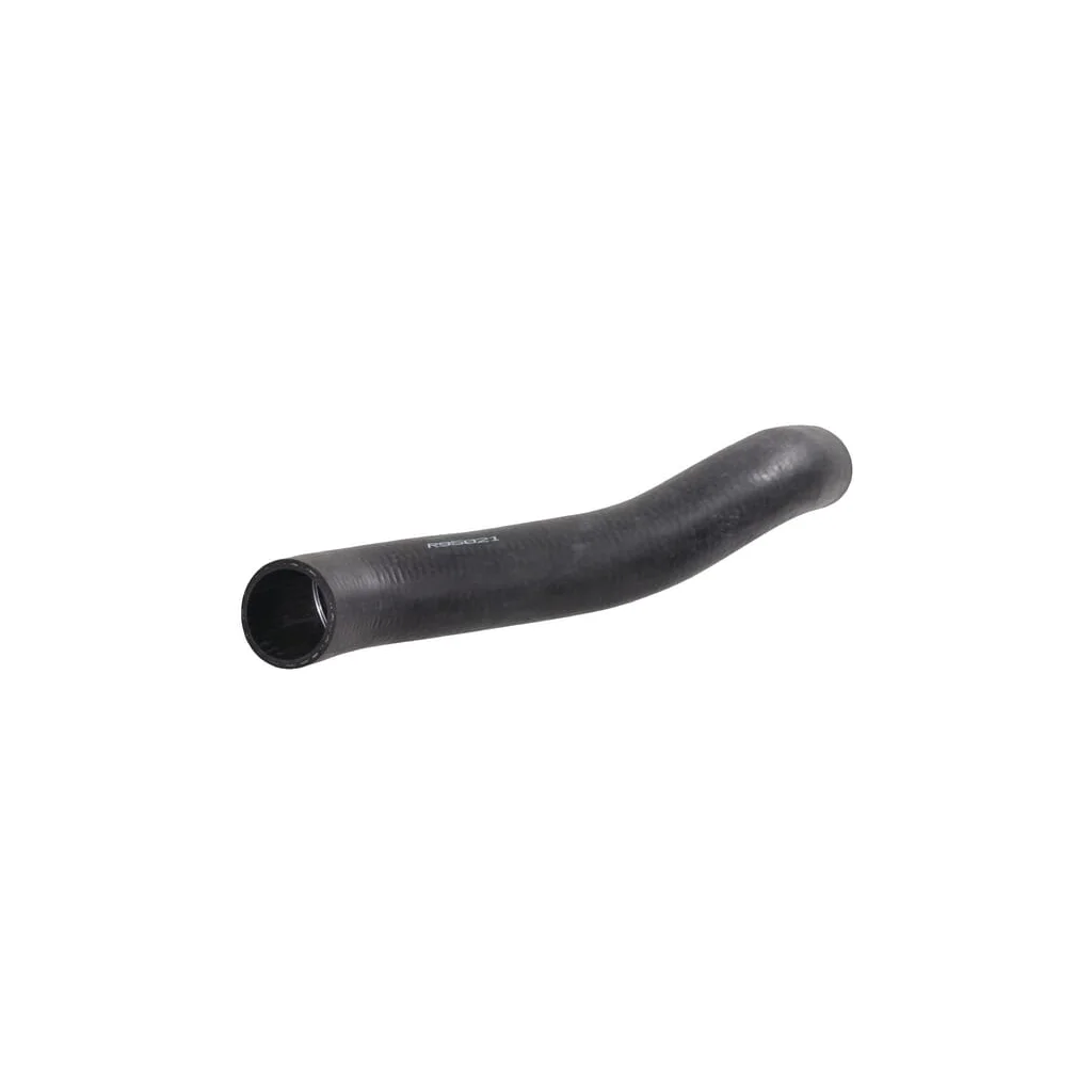 Furtun inferior de apă R95021