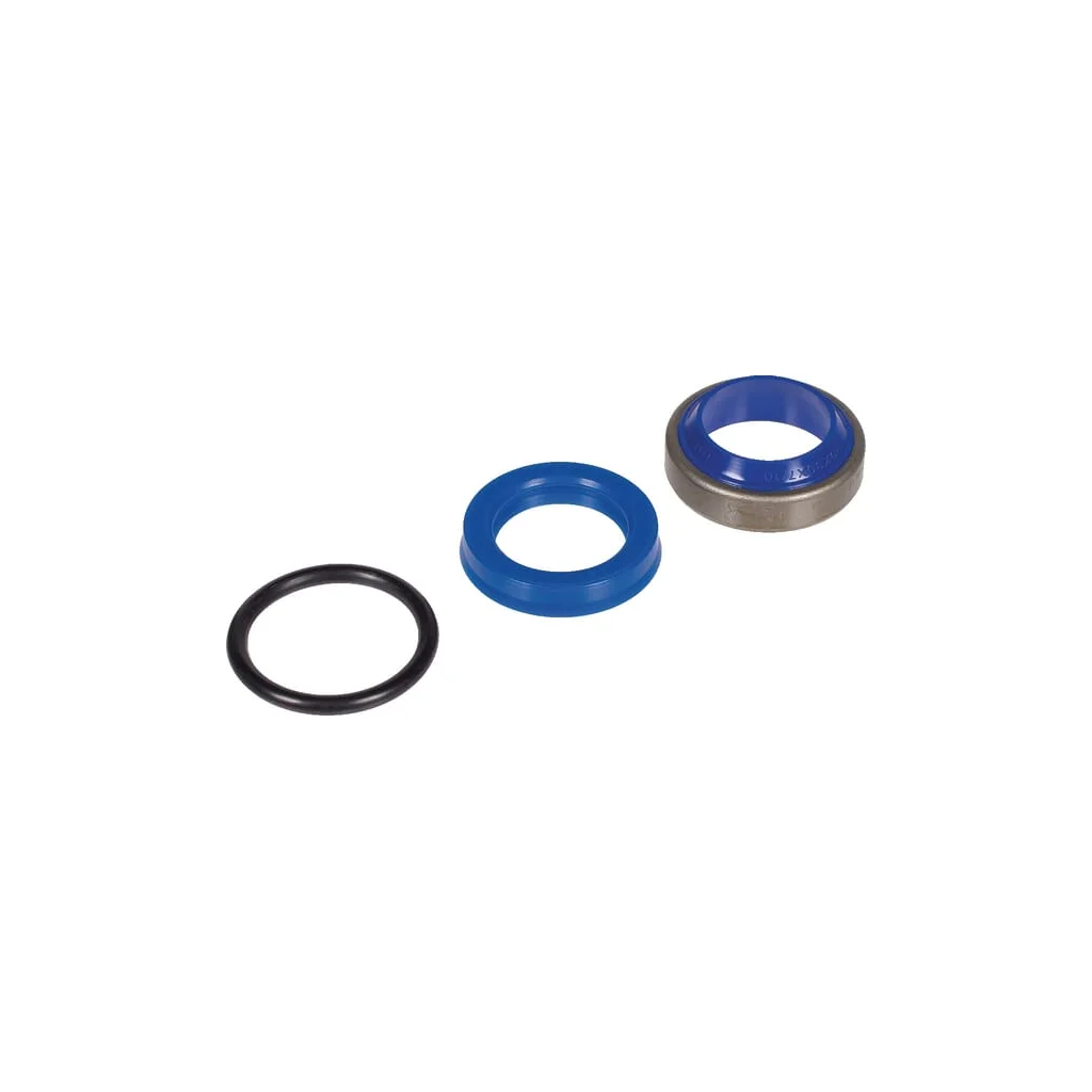 Kit de etanșare tbv Cil. C2K99973289 RAVDS001