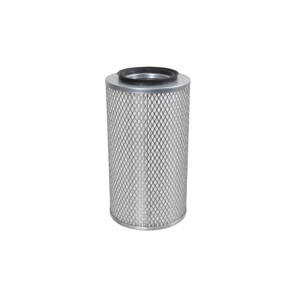 Filtru de cărbune activ RE237396