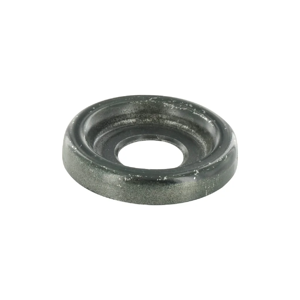 Disc 30x80x3 RF05174