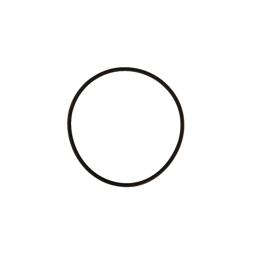 O-ring 94,85x3,53mm Viton Rau RG00018769