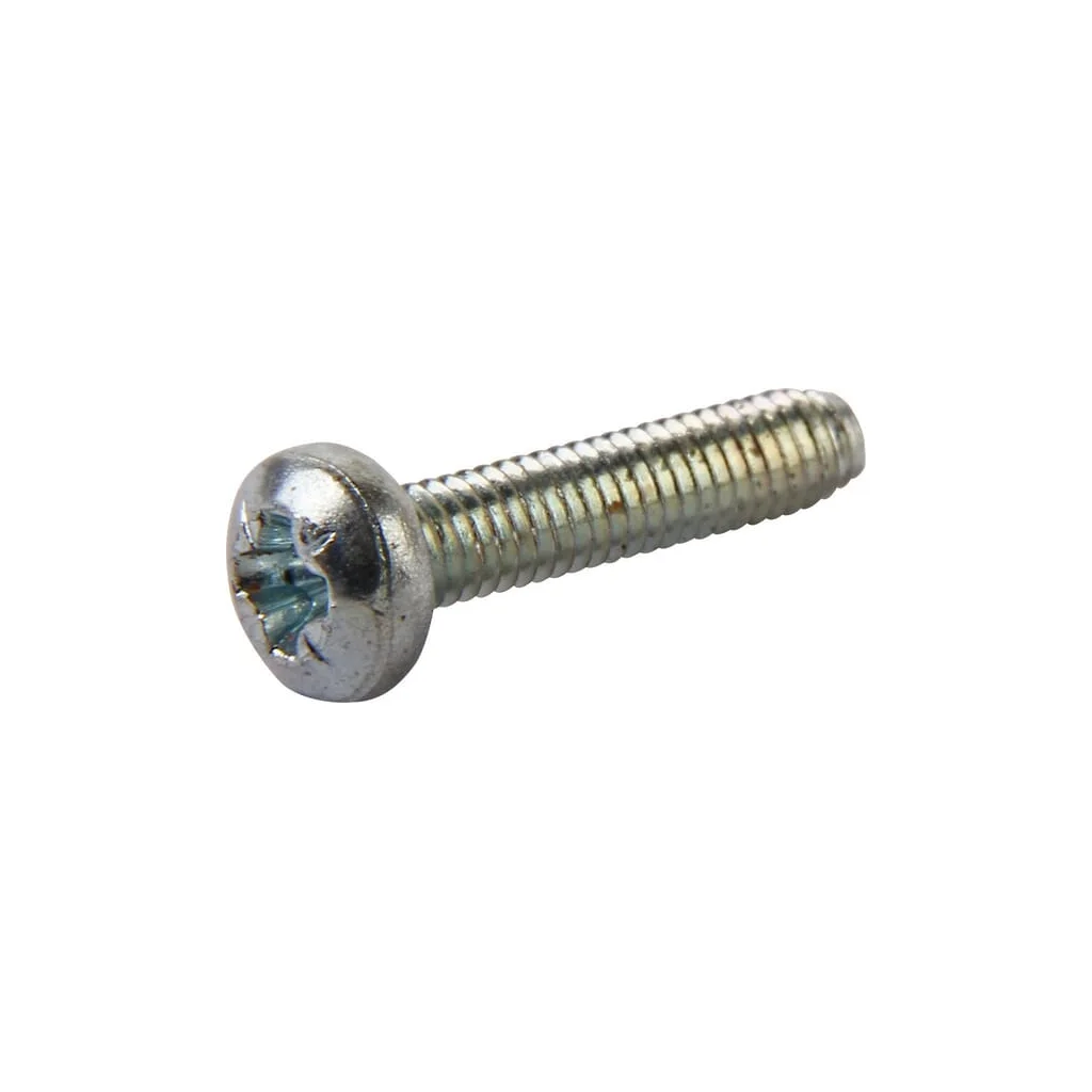 Șurub M2,5x12 Rau RG00041173