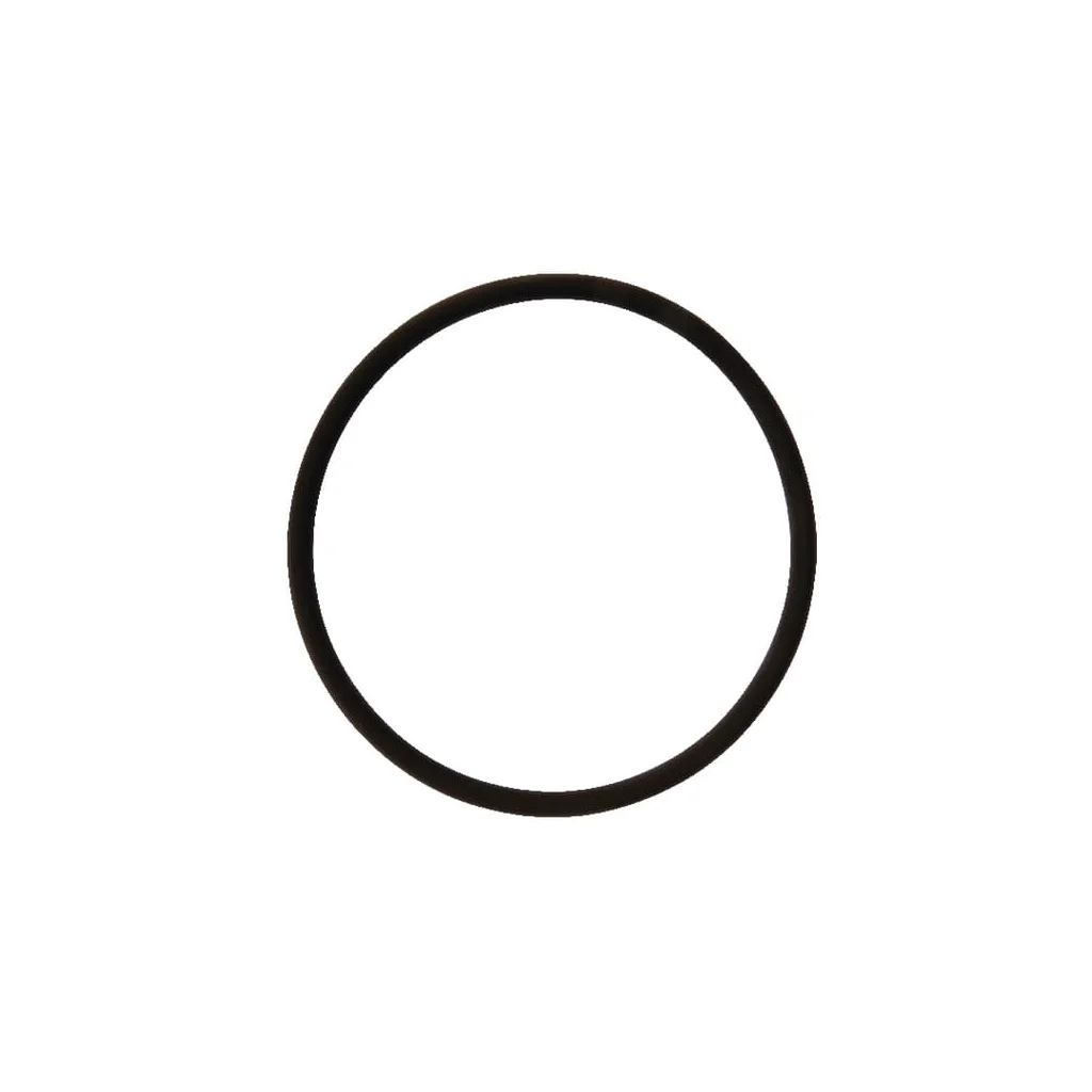 O-ring 126.4 x 7 Viton Rau RG00058725