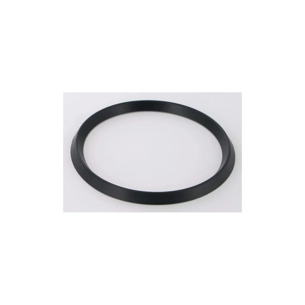 Simering RG00019055