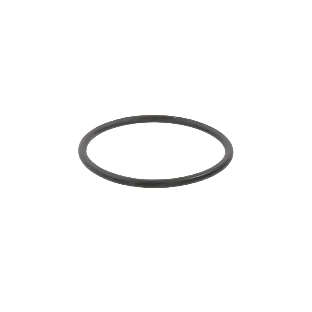 O-ring 55 x 3.5 Rau RG00023398