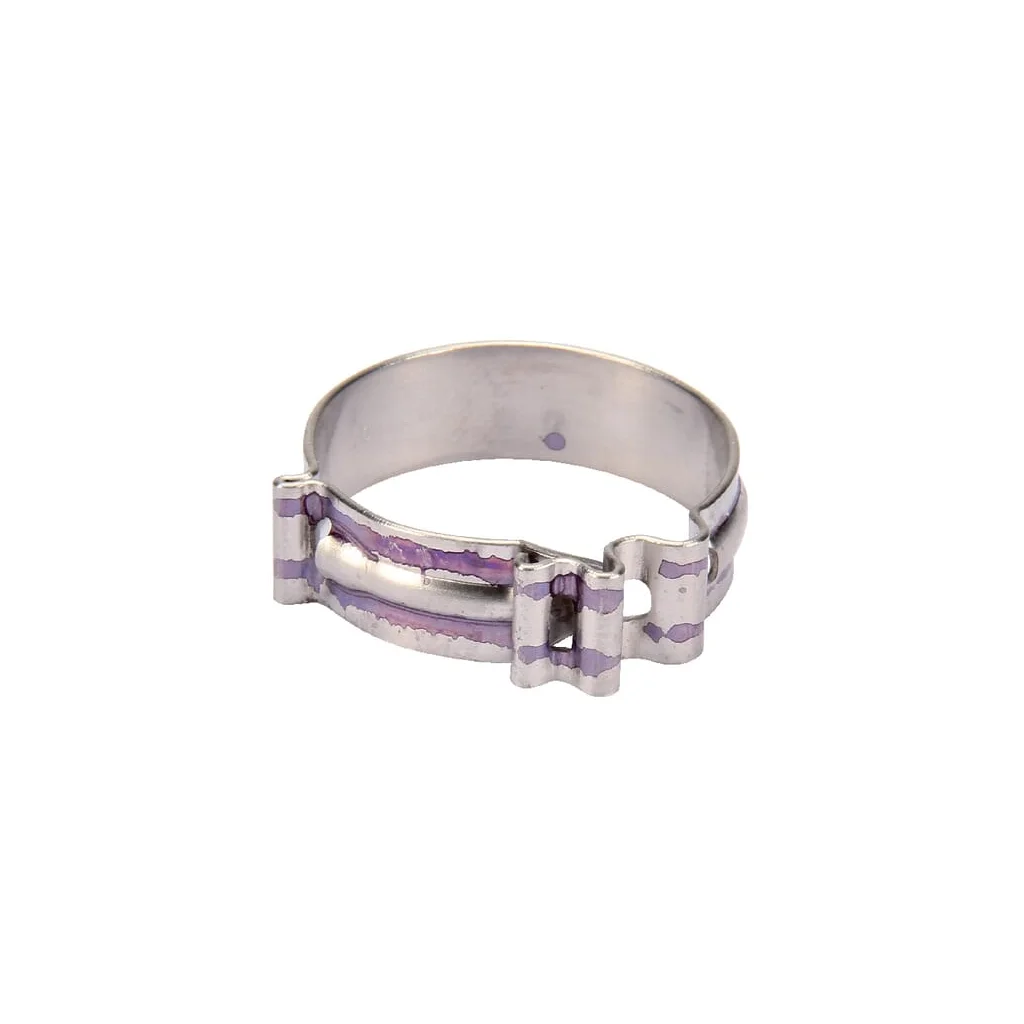 Colier de furtun Clic Standard Rau RG00027463