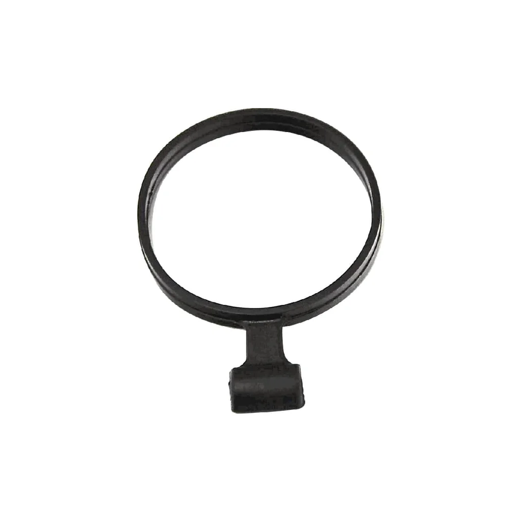 Inel suport 70° Rau RG00002624