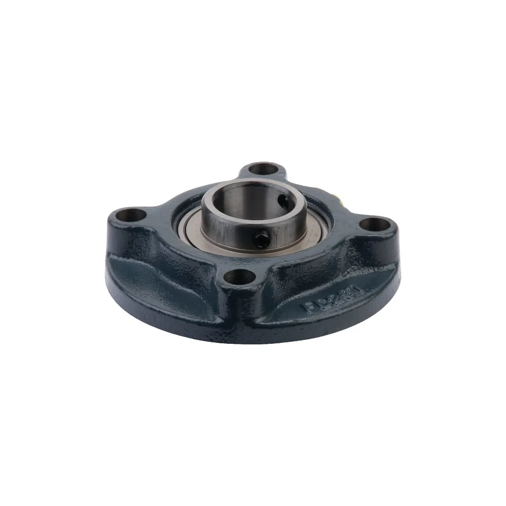 Rulment RG00016696
