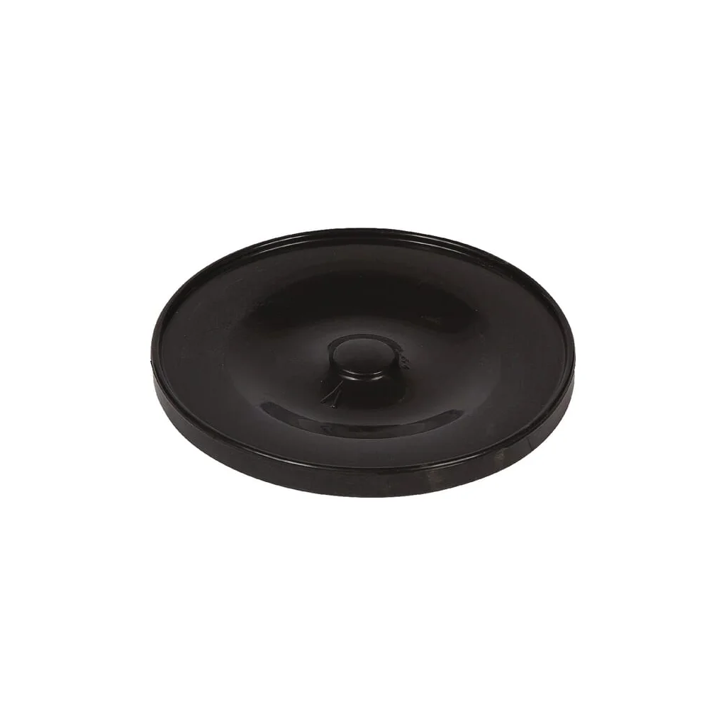 Membrane Viton RG00019057