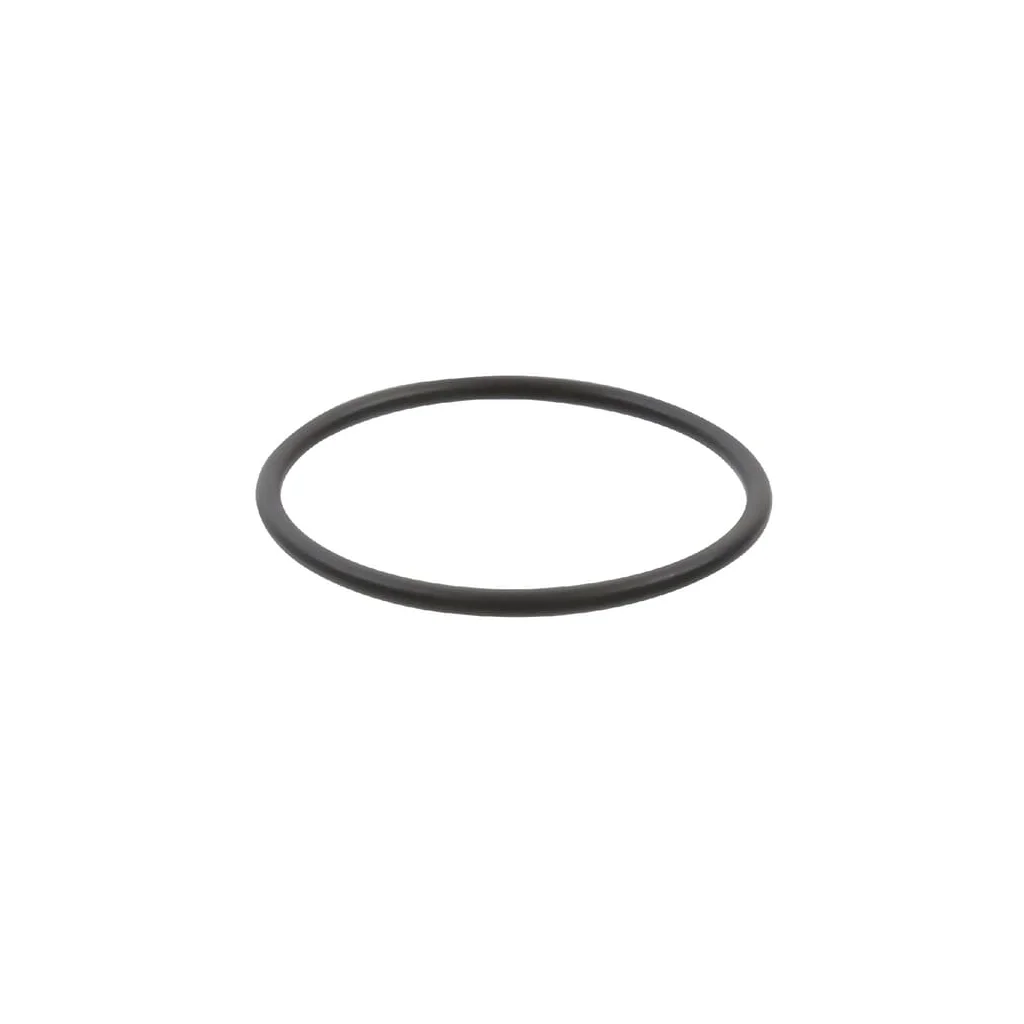 O-ring 60 x 3.5 Rau RG00026768
