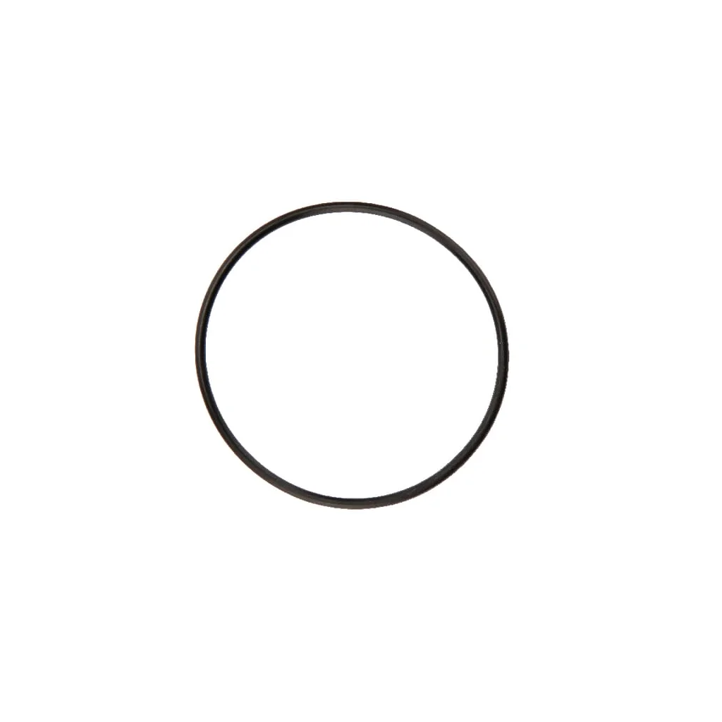 O-ring 52 x 2 Rau RG00026014