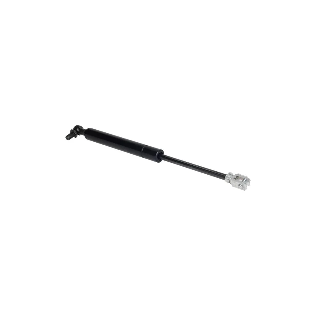 Amortizor gaz RG26846190