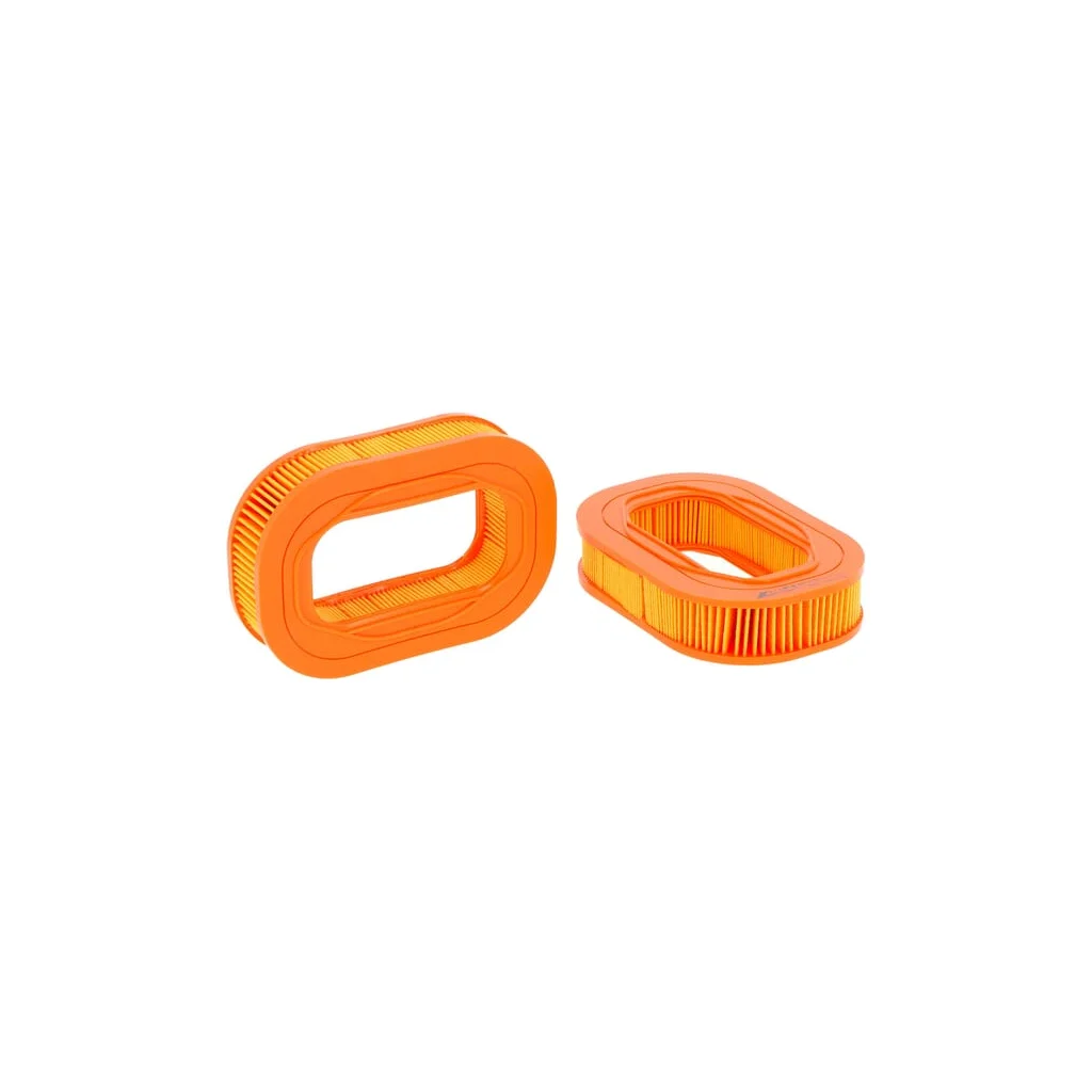 Filtru de aer SA12174