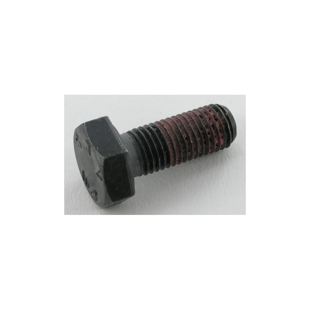 Bolț M10x1,25x25 Maschio F01010246R