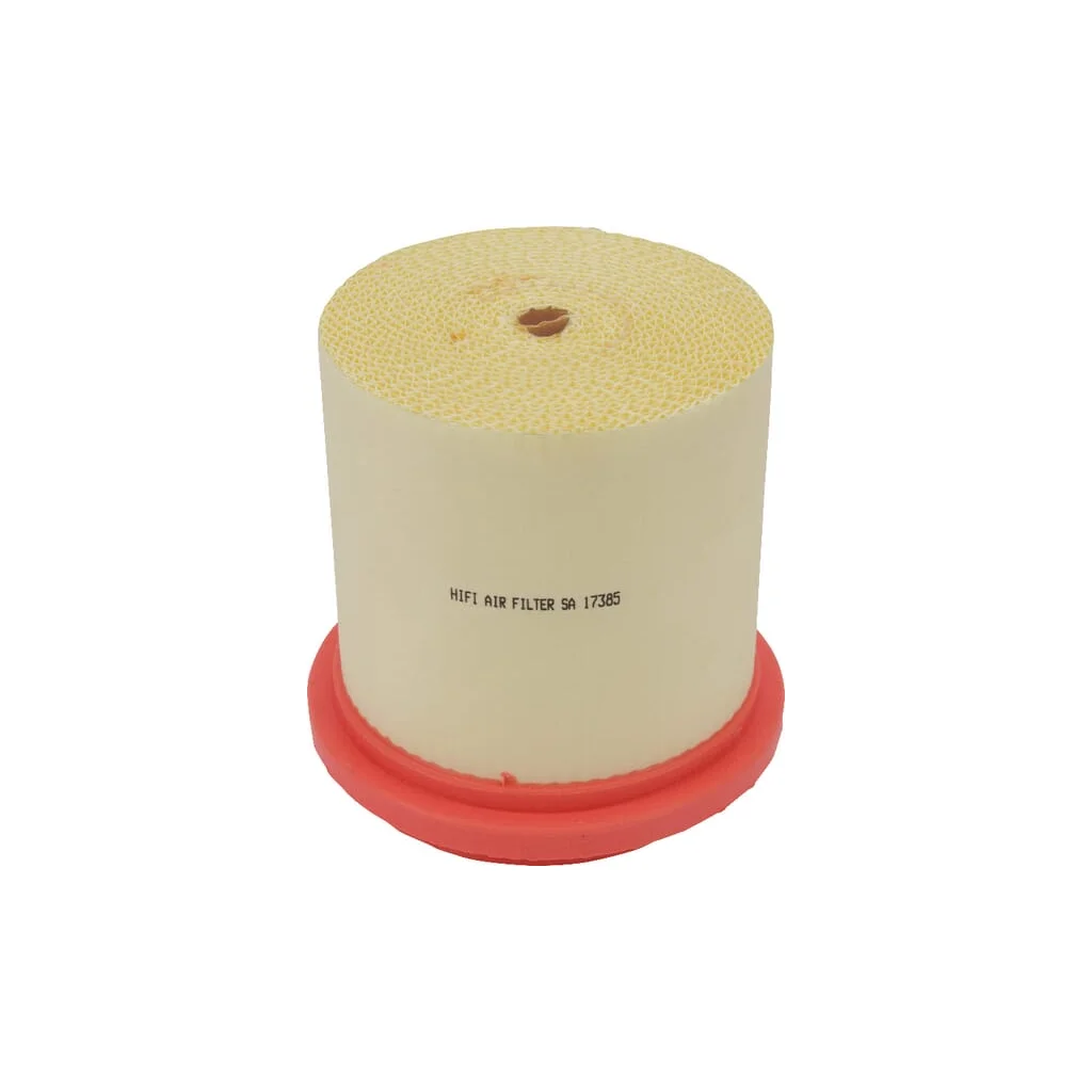 Filtru de aer SA17385